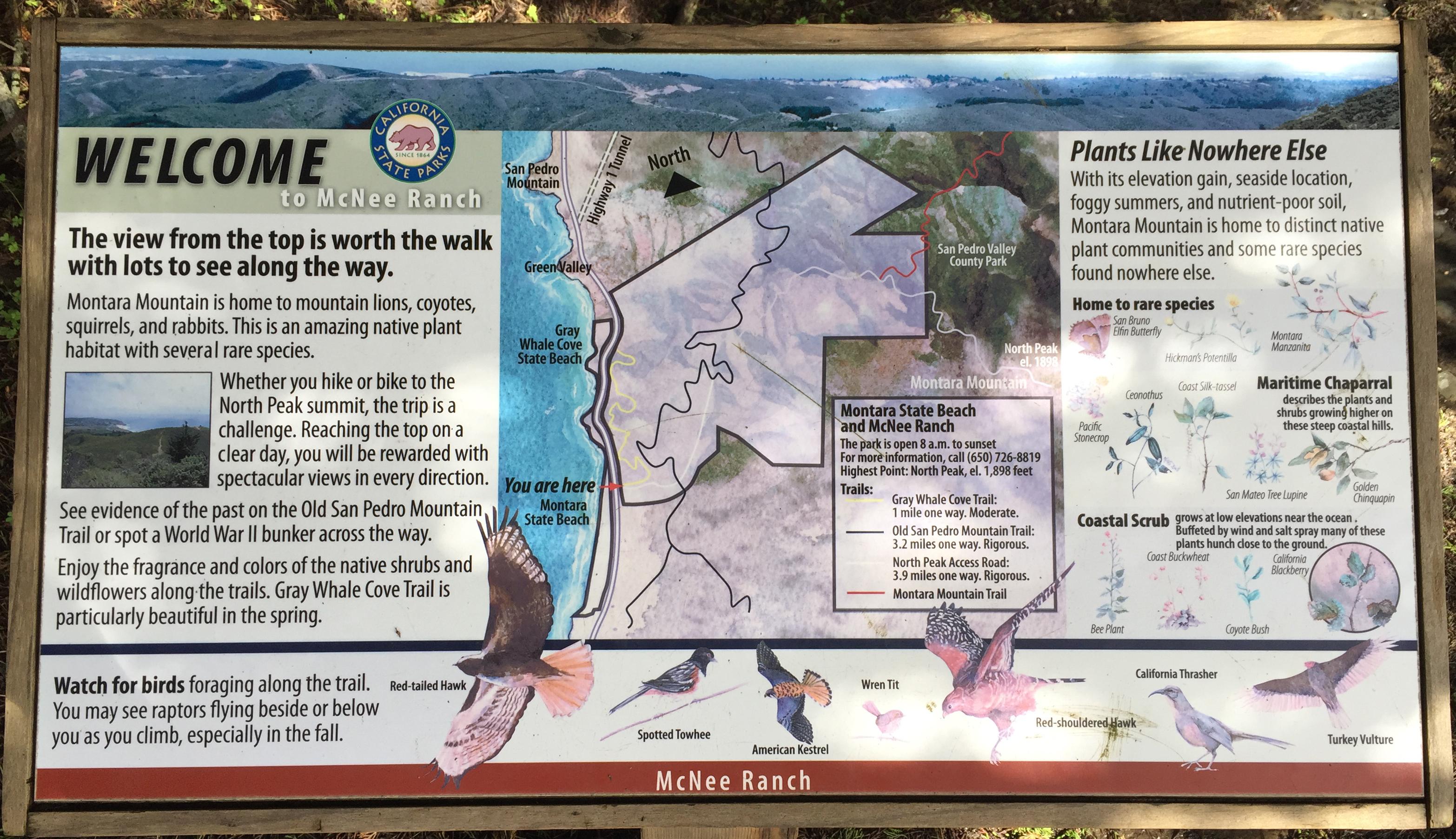 McNee Ranch / Montara Mountain | Coastside State Parks Association